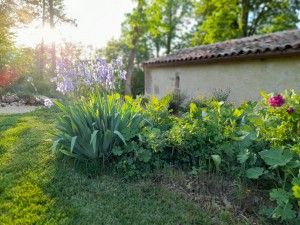 Jardin de l'atelier