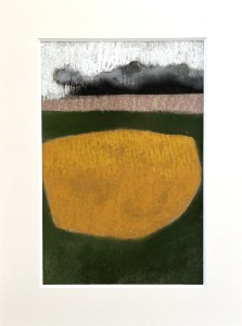 petit pré jaune, Pastel, 40x30cm 450€